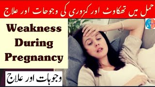 Weakness amp Tiredness in Pregnancy  Hamal Main Kamzori Ka ilaj  Treatment Of Fatigue  UrduHindi🌐 [upl. by Frida904]