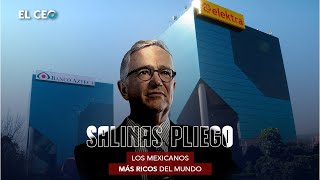 Los mexicanos más ricos del mundo Ricardo Salinas Pliego [upl. by Eladnyl358]