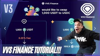 VVS Finance Tutorial  How to Use VVS Finance V3 [upl. by Dnomhcir513]