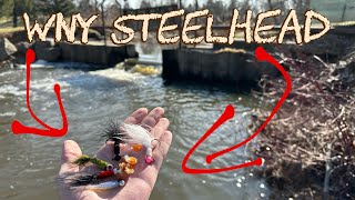 Steelhead Jig FishingLake Ontario Tributaries [upl. by Annalee556]