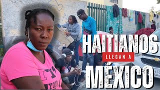 INVASIÓN DE HAITIANOS EN MÉXICO [upl. by Ellatnahc281]