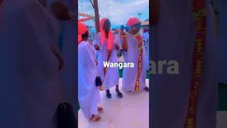 Wangara Dance The best r dance in Ghana Proud Wangaran [upl. by Syramad245]