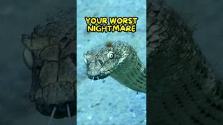 Are Sea Snakes Dangerous😰 [upl. by Nolat]