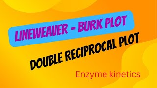 Lineweaver Burk Plot Enzyme Kinetics  Double Reciprocal Plot  Enzyme Kinetics  Vmax Km ampS [upl. by Frodina735]