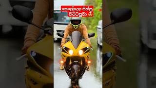 ලන්කාවෙ කොල්ලො පිස්සු වට්ටපුවා 🥰  r1 lanka yamahar1 japanbike japan automobile slbikes bike [upl. by Gerhard981]