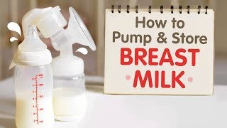 Pump Directly into our Breastmilk Storage Bags Using Your Lansinoh Pump [upl. by Irv479]