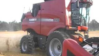 CaseIH 8120 AxialFlow Harvesting Winter Wheat [upl. by Werda]