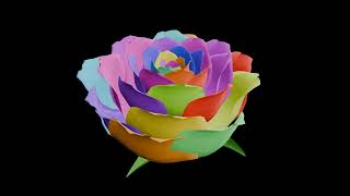 Both colored roses By Nzinga Lon Stein Austin [upl. by Eriam]