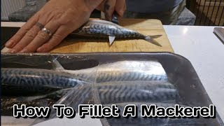 How To Fillet Mackerel [upl. by Clarey]