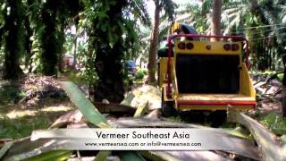 Vermeer BC1000XL for Recycling OPF Oil Palm Fronds amp Petioles Malaysia [upl. by Madeleine]