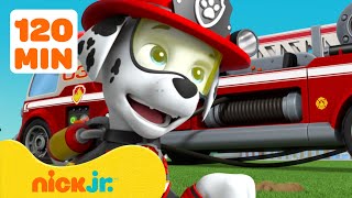 PAW Patrol Marshalls Most Daring Rescues 2 🚒 2 Hours  Nick Jr [upl. by Naivat583]