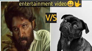 Puspha Vs Dogs🐕 Side Effectquot entertainment funny🤣😜 video quot entertainment funny puspa [upl. by Meibers]