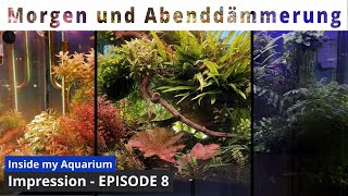 Morgen und Abenddämmerung im Aquarium  Episode 8  Aquarium Impression [upl. by Essined]