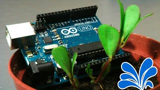 ARDUINO  Rilevare umidità del terreno per irrigazione automatica [upl. by Melita469]