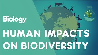 Human Impacts on Biodiversity  Ecology and Environment  Biology  FuseSchool [upl. by Efren678]