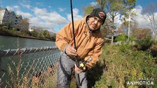 Fishing for Togs at the Point Pleasant Canal [upl. by Nelac]