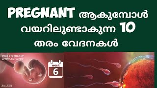 10 Early Pregnancy Stomach pains  Deechus world Malayalam [upl. by Adnarem]