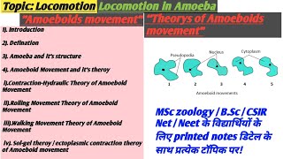 Amoeboid movement  Locomotion in Amoeba  Amoeboids movement theroy  Locomotion [upl. by Chemesh]