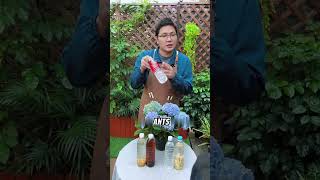 Five types of water for growing flowers plant Growing Water fertilizer grow plant tips [upl. by Ramyaj]