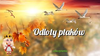 Odloty ptaków na podstawie wiersza ISalach quotOdloty [upl. by Nomrah]