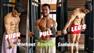 PushPullLegs Workout Routine Explained in Hindi By Deesfitness [upl. by Uird229]