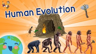 Human Evolution For Kids  Evolution Of Humans Learning Videos for Kids [upl. by Ydnic]