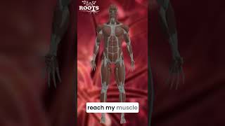 Want to Restore Your Myelin Sheath Naturally Watch Now [upl. by Greyso]