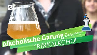 Trinkalkohole die alkoholische Gärung  alpha Lernen erklärt Chemie [upl. by Adnot]