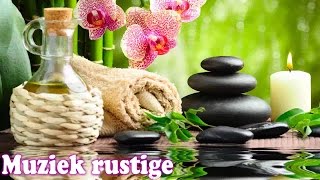 Rustige Ontspannende Muziek ♫ Ontspannende Muziek voor Stress Relief Meditatie Muziek [upl. by Olds446]