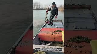 Traditional winter fishing methods [upl. by Lanza]