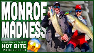 Monroe Walleye Fishing Report amp Saginaw Bay Fishing Report [upl. by Assena]