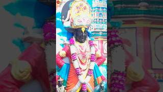 WariPandharichi ShreyasDeshpande PrachitiBhagwat Ekadashi Shorts [upl. by Asil]