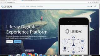 Video 8 Liferay DXP Forms and Integration [upl. by Ndnarb]