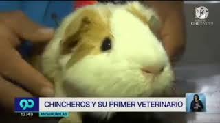 Chincheros y su primer veterinario [upl. by Ellocin]