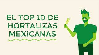 Top ten de Hortalizas mexicanas  HortalizasMX [upl. by Aihsak]