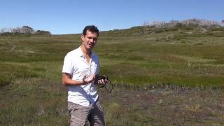 Alpine carnivorous plants and a bog orchid in Victoria Australia [upl. by Valaria]