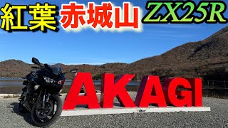 zx25r赤城山｢紅葉♡見に行こうよう｣大胡赤城線からっ風街道Kawasaki高画質4k [upl. by Jolyn]