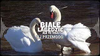 BIAŁE ŁABĘDZIE ALE TO VIXA DJ PRZEMOOO [upl. by Leafar301]