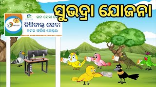 ସୁଭଦ୍ରା ଟଙ୍କାSubhadra JojonaChadhei gapaodia cartoonBird storyOdia gapaodiacartoon [upl. by Forta]