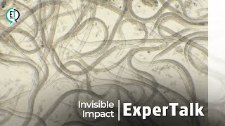 Invisible Impact  ExperTalk [upl. by Kahler613]