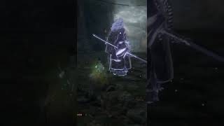 corrupted monk sekiro one shot Working still working in 2024 [upl. by Sedgewinn]