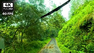 Kumily to Pathanamthitta via Gavi 🔥 NH 183 A 🔥 KSRTC Ride through Periyar National Park 🔥 4K 60 FPS [upl. by Delmar94]