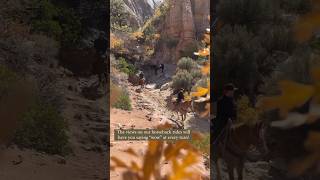 This horseback ride near Zion National Park will have you saying “wow” [upl. by Sirron]