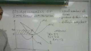 Microeconomics of Imperfect Competition part 2 [upl. by Cavuoto909]