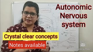 Autonomic nervous system physiology [upl. by Ahseei]