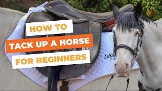 How To Tack Up A Horse English For Beginners  LillieRatcliffe [upl. by Layne]