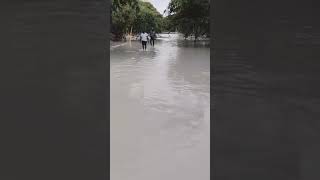 URGENTE DENUNCIA PÚBLICA SOBRE MORTANDAD DE PECES EN LA QUEBRADA SAN PABLO EN ISTMINA [upl. by Fuller]