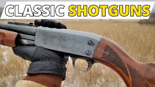 These 5 CLASSIC Shotguns EVERYONE Should Own [upl. by Aonehc]