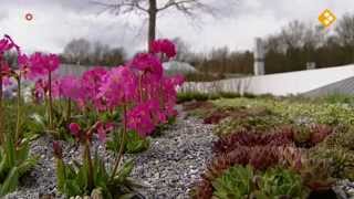 Beatrix opent Floriade 2012 Venlo  opening Floriade NOS op 1 [upl. by Liddle]