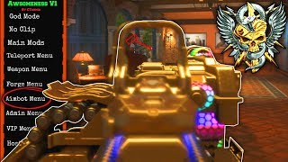 AIMBOT unlocked in Black Ops 4 VKM 750 Fat Barrel Operator Mod BO4 Hacks [upl. by Eyr]